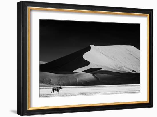 The Solitary-Mathilde Guillemot-Framed Photographic Print