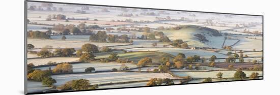 The Somerset Levels Covered in Morning Frost, Westbury-Sub-Mendip, Somerset-Adam Burton-Mounted Photographic Print