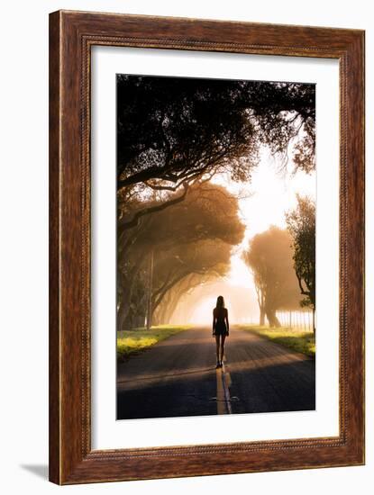 The Song is Over, Sunrise Fog Road Sonoma County California-Vincent James-Framed Photographic Print