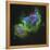 The Soul Nebula-Stocktrek Images-Framed Premier Image Canvas
