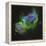 The Soul Nebula-Stocktrek Images-Framed Premier Image Canvas