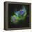 The Soul Nebula-Stocktrek Images-Framed Premier Image Canvas