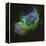 The Soul Nebula-Stocktrek Images-Framed Premier Image Canvas