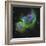 The Soul Nebula-Stocktrek Images-Framed Photographic Print