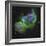 The Soul Nebula-Stocktrek Images-Framed Photographic Print