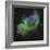 The Soul Nebula-Stocktrek Images-Framed Photographic Print