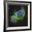 The Soul Nebula-Stocktrek Images-Framed Photographic Print