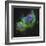 The Soul Nebula-Stocktrek Images-Framed Photographic Print