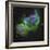 The Soul Nebula-Stocktrek Images-Framed Photographic Print