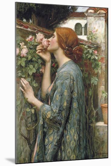 The Soul of the Rose-John William Waterhouse-Mounted Premium Giclee Print