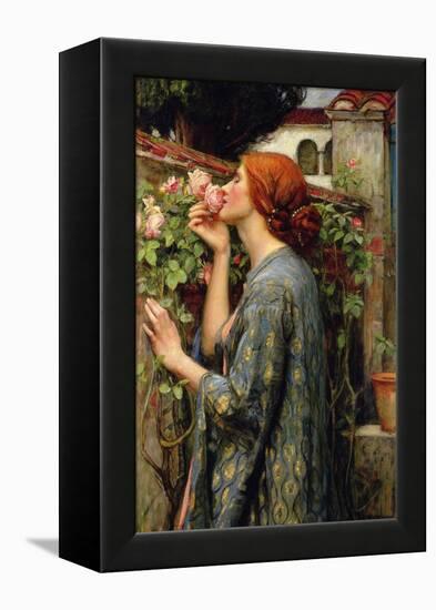 The Soul of the Rose-John William Waterhouse-Framed Stretched Canvas