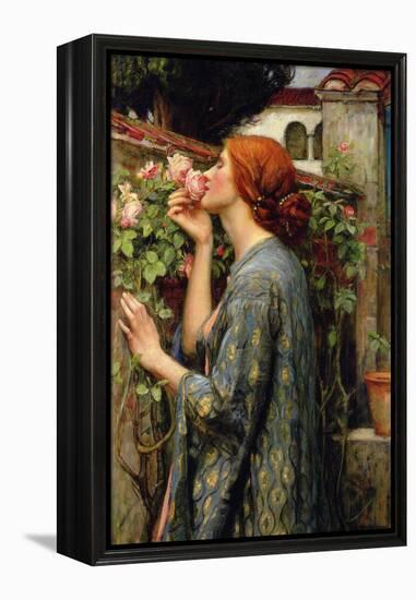 The Soul of the Rose-John William Waterhouse-Framed Stretched Canvas