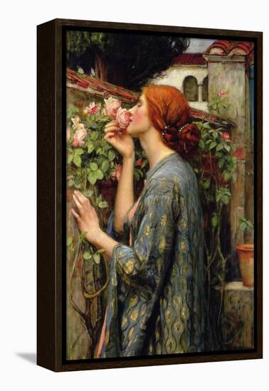 The Soul of the Rose-John William Waterhouse-Framed Stretched Canvas