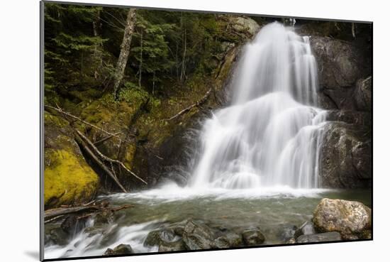 The Sound Of Falling Water-Brenda Petrella Photography LLC-Mounted Giclee Print