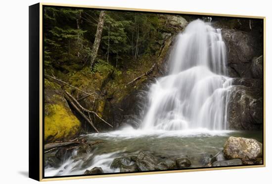 The Sound Of Falling Water-Brenda Petrella Photography LLC-Framed Premier Image Canvas