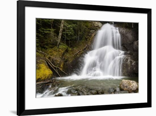 The Sound Of Falling Water-Brenda Petrella Photography LLC-Framed Giclee Print