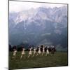 The Sound of Music, 1965-null-Mounted Premium Photographic Print