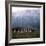 The Sound of Music, 1965-null-Framed Photo