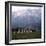 The Sound of Music, 1965-null-Framed Photo