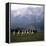 The Sound of Music, 1965-null-Framed Stretched Canvas