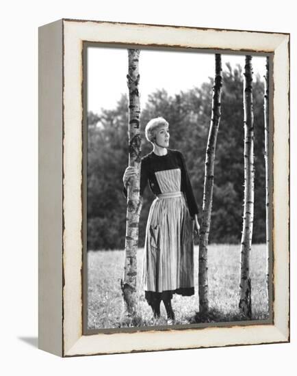 The Sound of Music, Julie Andrews, 1965-null-Framed Stretched Canvas