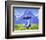 The Sound of Music-null-Framed Photo