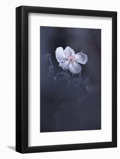 The Sound of Silence-Fabien Bravin-Framed Photographic Print