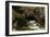 The Source of the Loue, 1864-Gustave Courbet-Framed Giclee Print