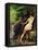 The Source or Bather at the Source, 1868-Gustave Courbet-Framed Premier Image Canvas