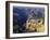 The South Rim of the Grand Canyon, Arizona, USA-Fraser Hall-Framed Photographic Print