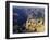 The South Rim of the Grand Canyon, Arizona, USA-Fraser Hall-Framed Photographic Print