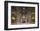 The South Transept of St. Peter's Basilica-Cahir Davitt-Framed Photographic Print