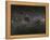 The Southern Cross and the Pointers in the Milky Way-null-Framed Premier Image Canvas