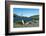 The southern elephant seal (Mirounga leonina) in front of an old whaling boat, Ocean Harbour, South-Michael Runkel-Framed Photographic Print