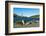 The southern elephant seal (Mirounga leonina) in front of an old whaling boat, Ocean Harbour, South-Michael Runkel-Framed Photographic Print