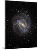 The Southern Pinwheel Galaxy-Stocktrek Images-Mounted Photographic Print