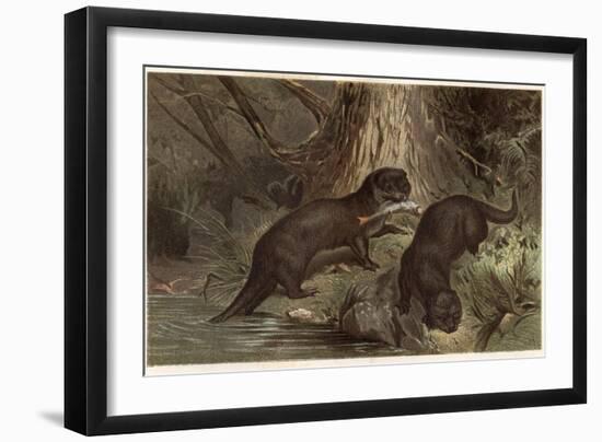 The Southern River Otter by Alfred Edmund Brehm-Stefano Bianchetti-Framed Giclee Print