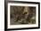 The Southern River Otter by Alfred Edmund Brehm-Stefano Bianchetti-Framed Giclee Print