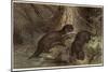 The Southern River Otter by Alfred Edmund Brehm-Stefano Bianchetti-Mounted Giclee Print