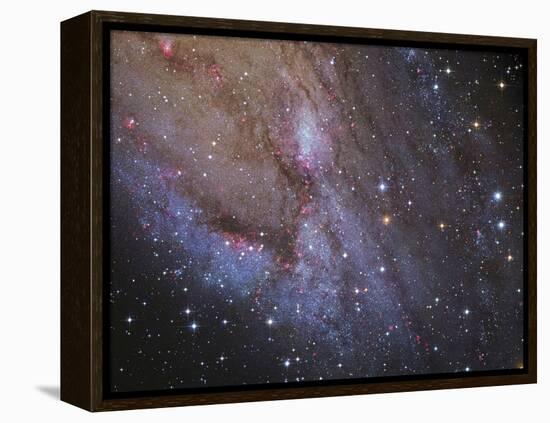 The Southwest Spiral Arm of Messier 31-null-Framed Premier Image Canvas