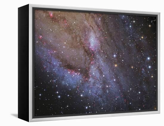 The Southwest Spiral Arm of Messier 31-null-Framed Premier Image Canvas