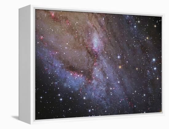 The Southwest Spiral Arm of Messier 31-null-Framed Premier Image Canvas