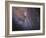 The Southwest Spiral Arm of Messier 31-null-Framed Photographic Print