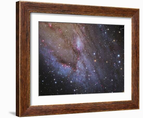 The Southwest Spiral Arm of Messier 31-null-Framed Photographic Print