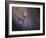 The Southwest Spiral Arm of Messier 31-null-Framed Photographic Print