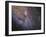 The Southwest Spiral Arm of Messier 31-null-Framed Photographic Print