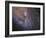 The Southwest Spiral Arm of Messier 31-null-Framed Photographic Print