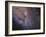 The Southwest Spiral Arm of Messier 31-null-Framed Photographic Print