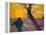The Sower at Sunset, 1888-Vincent van Gogh-Framed Premier Image Canvas