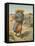 The Sower Sowing the Seed-English School-Framed Premier Image Canvas